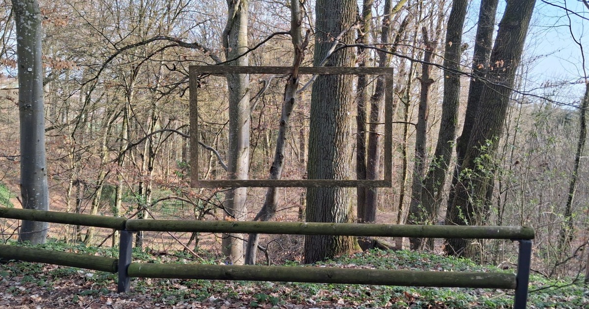 Immer ein neues Bild